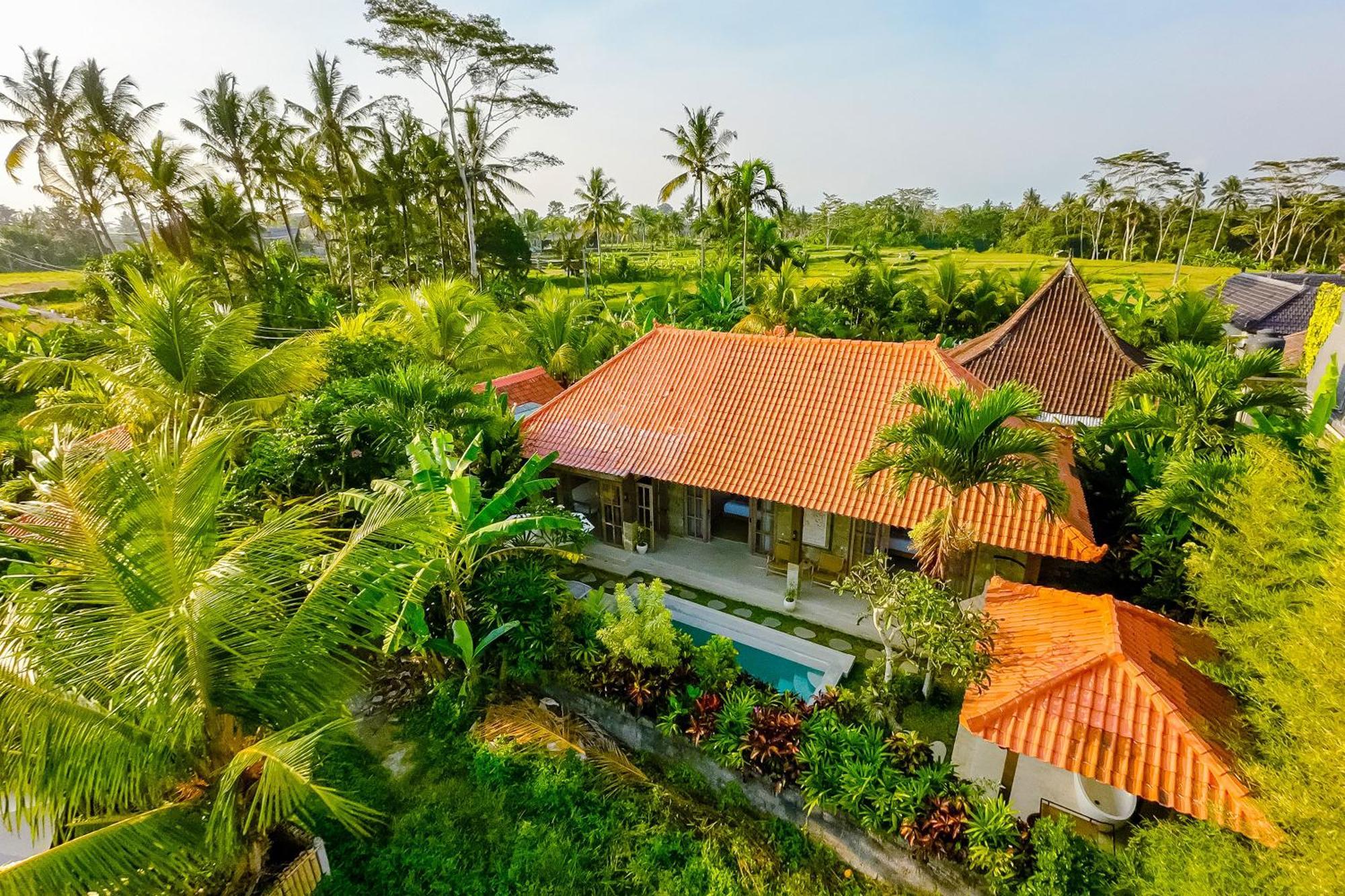 Nyaman Villas By Evdekimi Ubud エクステリア 写真